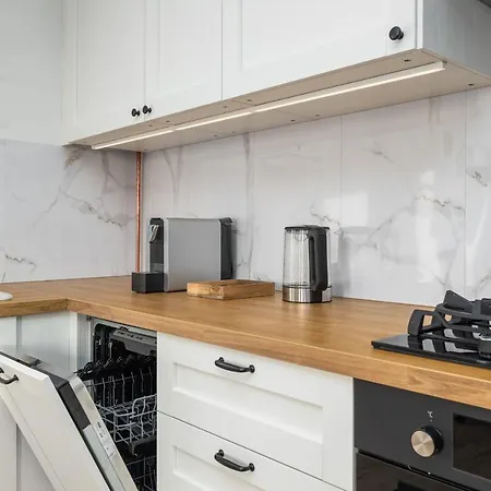 公寓 Near The Warta River By Renters 波兹南